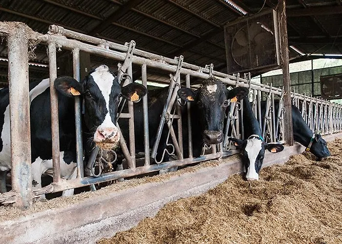 Agroturismo Zubeltzu Torre *