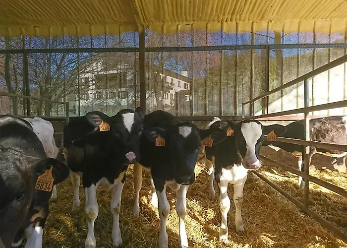 Zubeltzu Torre * Zumaia