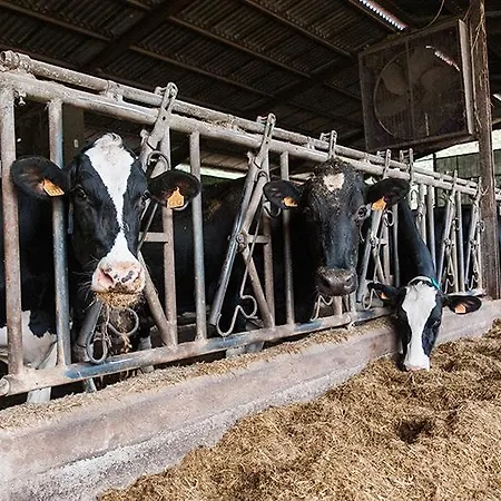 Alojamento de Turismo Rural Zubeltzu Torre *