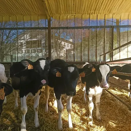 Zubeltzu Torre * Zumaia